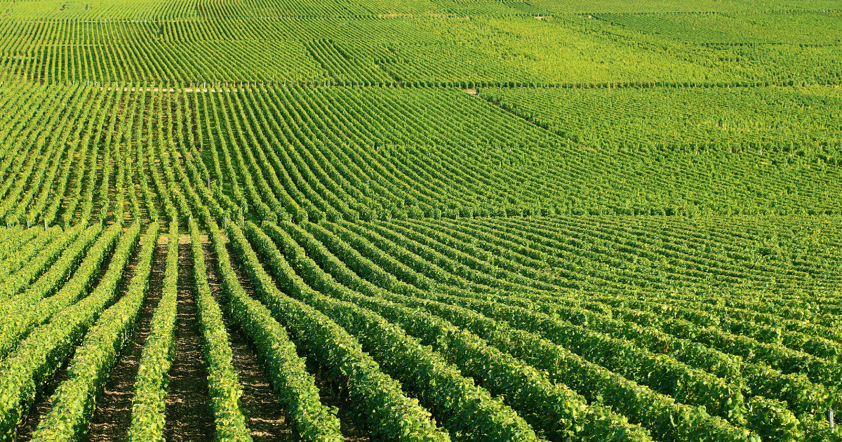 Mais uma obrigatoriedade para o produtor rural