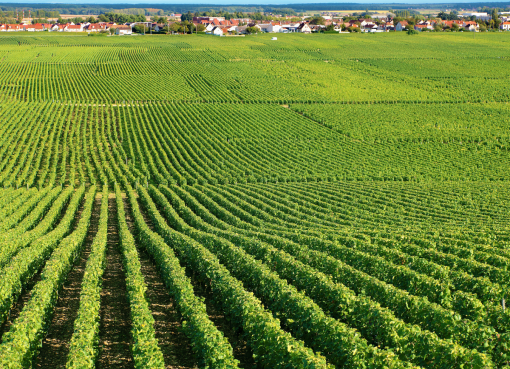 Mais uma obrigatoriedade para o produtor rural