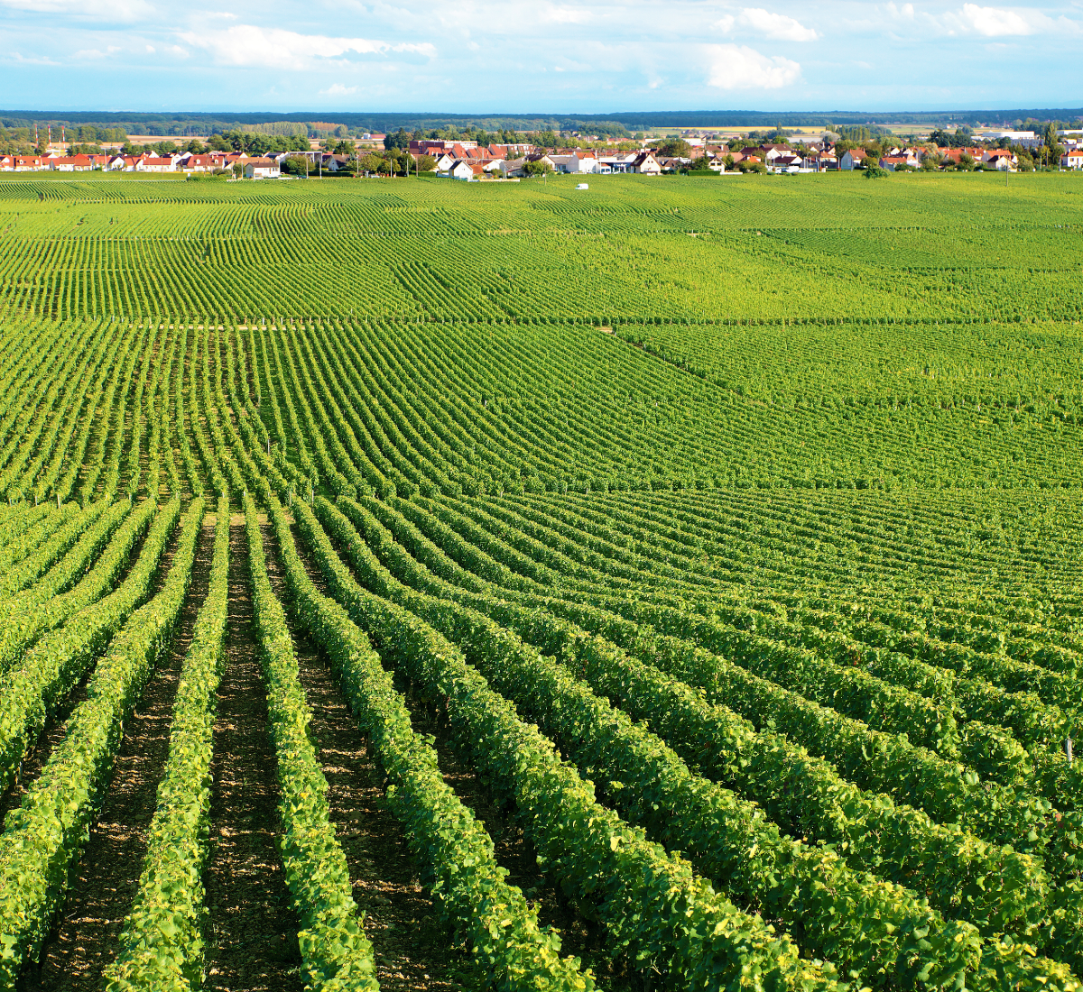 Mais uma obrigatoriedade para o produtor rural